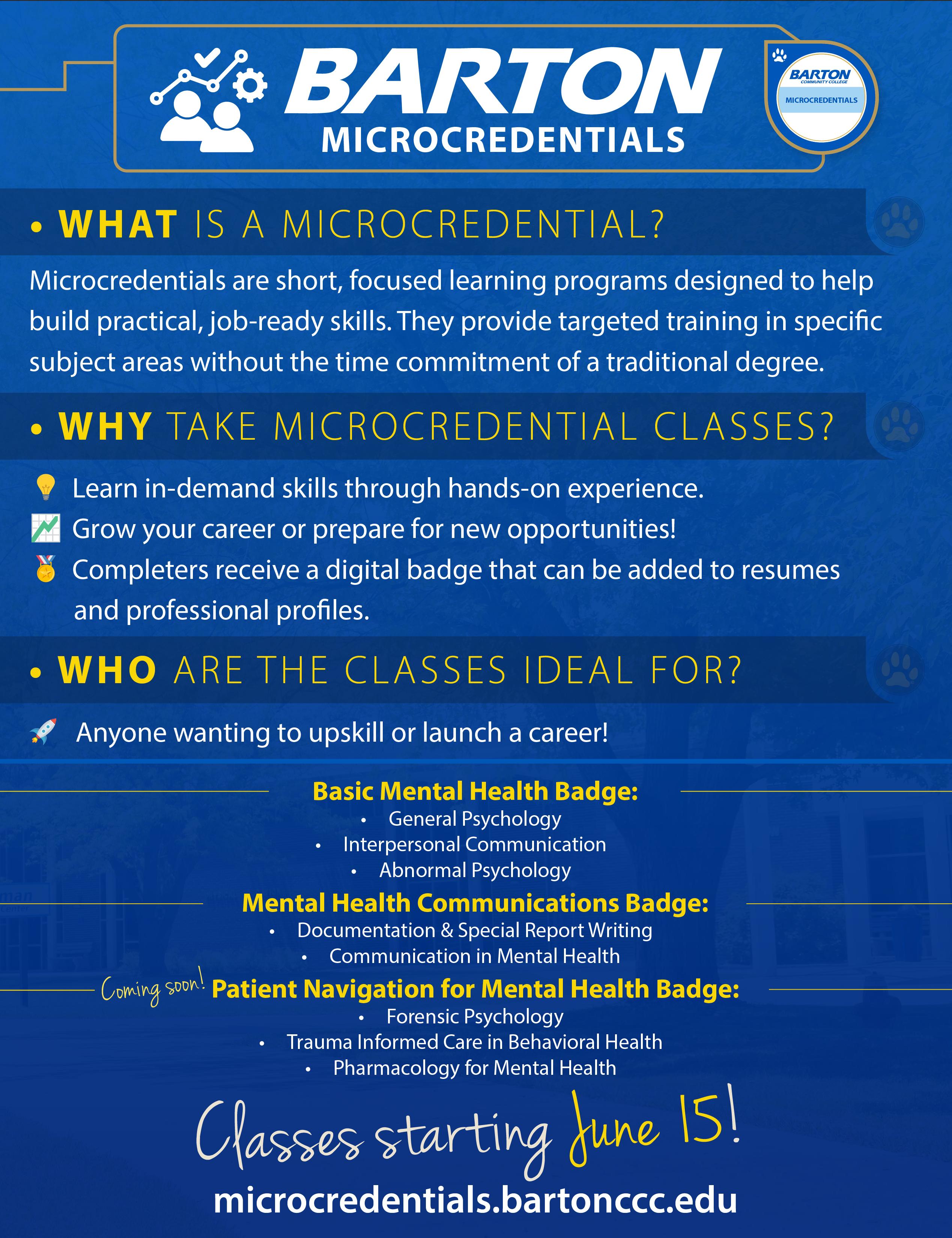 blue all text flier