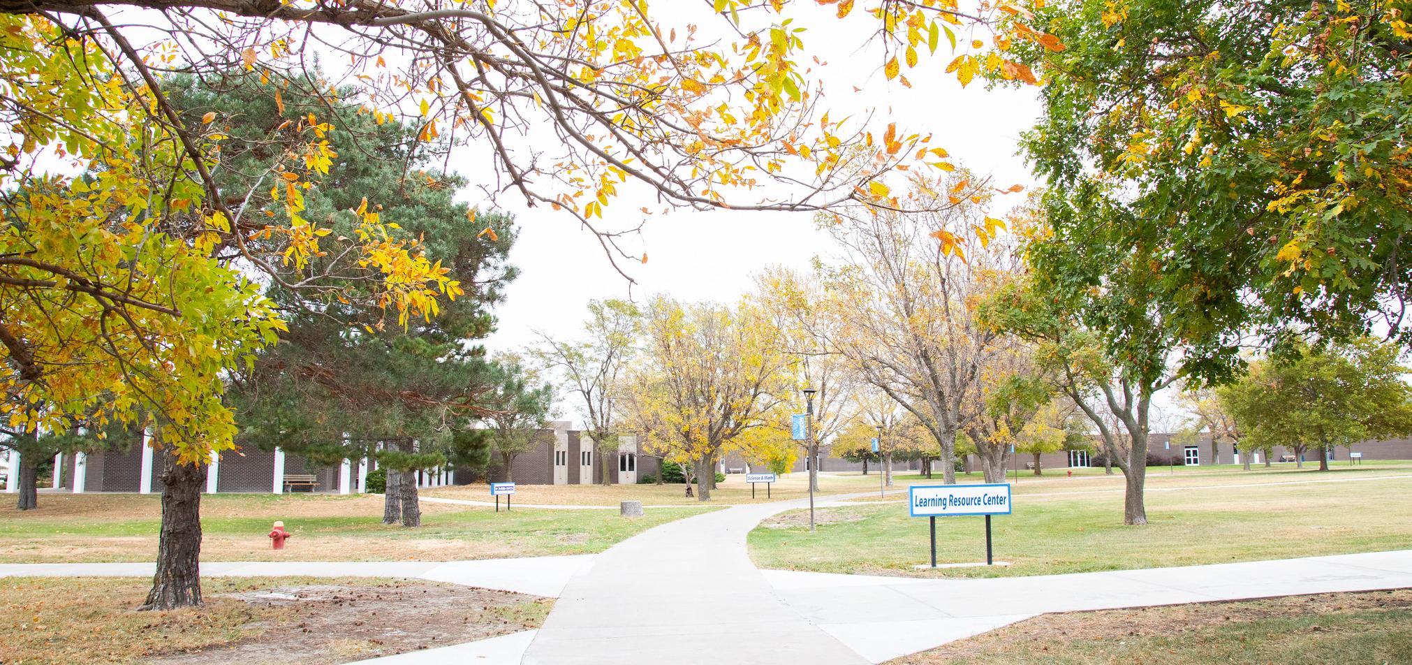 leaves are turning fall colors on campus