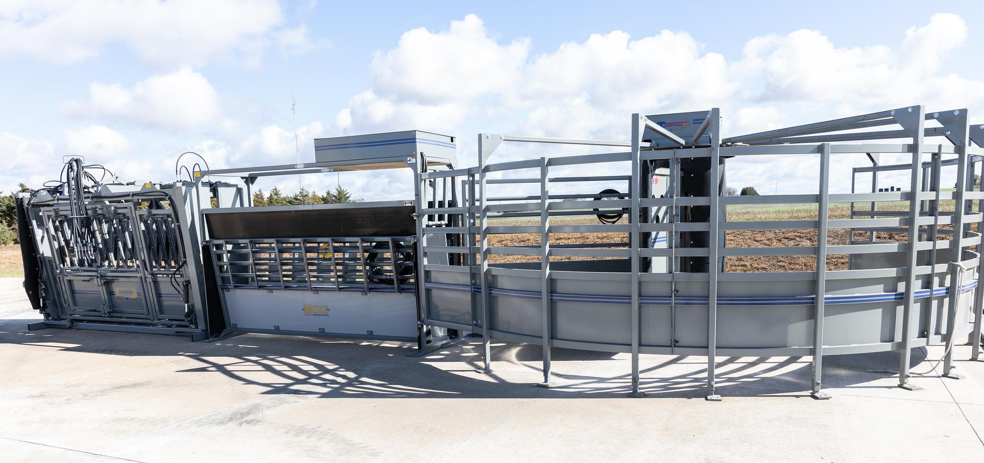 Cattle pen set up outside Barton Ag complex